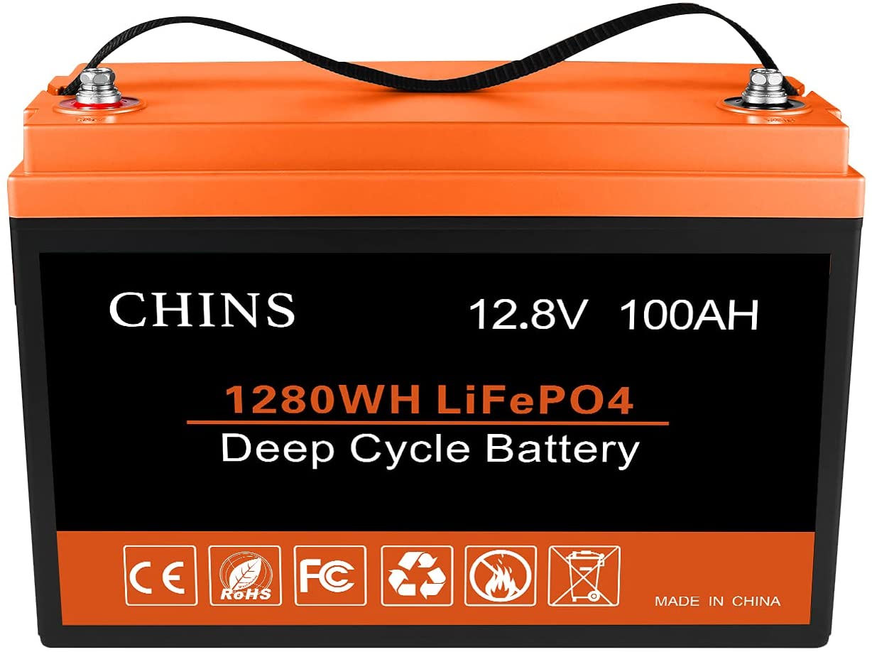 12V 100Ah LiFePO4 Battery with 100A BMS