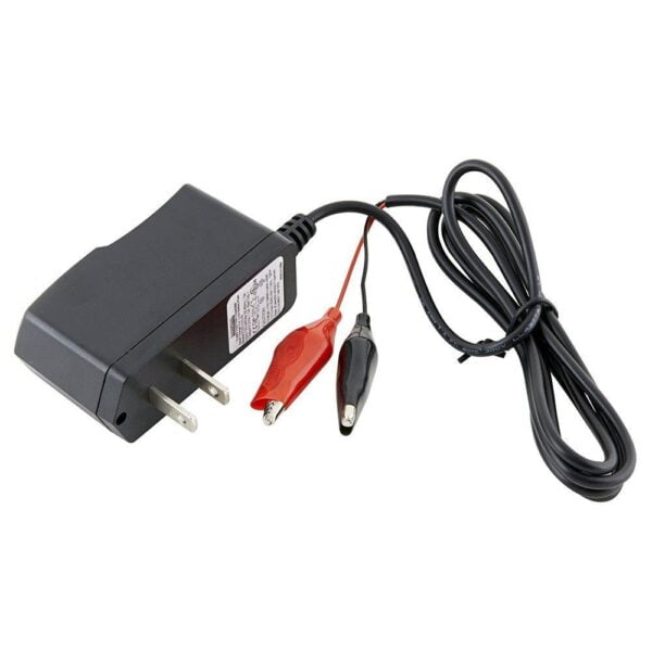 Chargers, Lithium Ion Chargers F037-010-W Dantona Battery