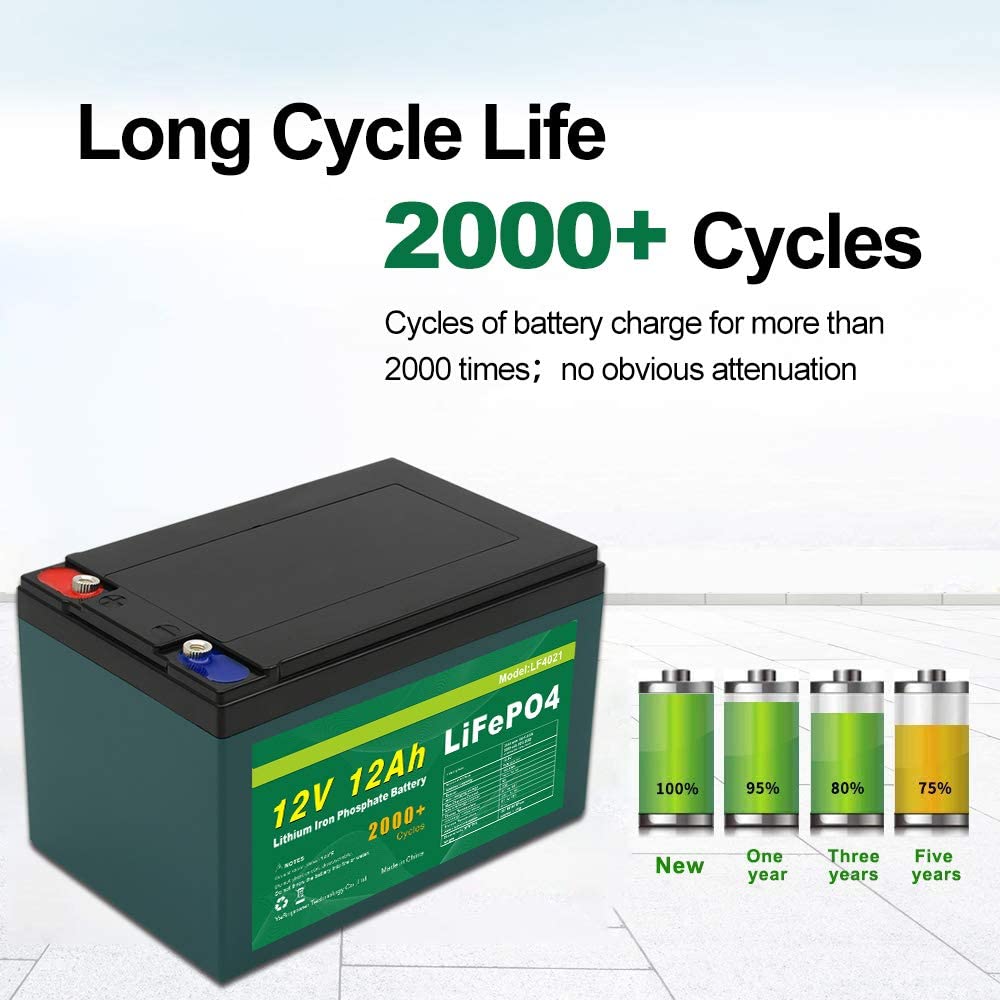 TalentCell 12V 12Ah LiFePO4 Battery Pack, Deep Cycle Rechargeable Lithium  Iron Phosphate Batteries