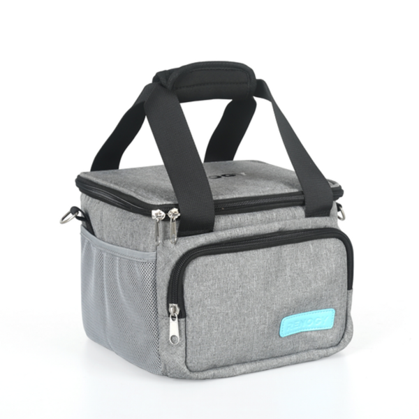 Package Bag for Renogy Portable Power Station 200